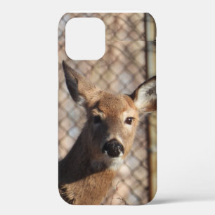 Curious Deer in the Woods iPhone 12 Case