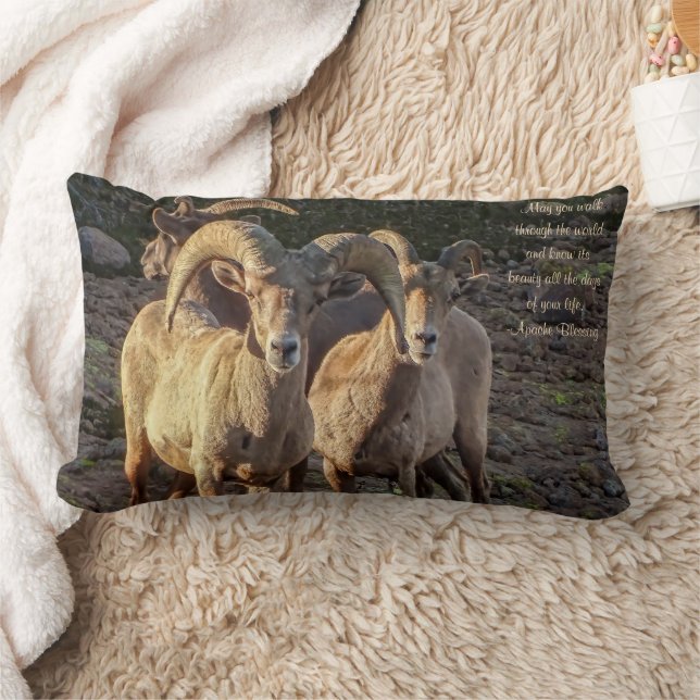 Curious Desert Bighorn Sheep Ram And Ewes Lumbar Cushion (Blanket)
