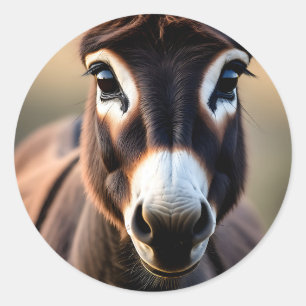 Curious Donkey Close Up Portrait Classic Round Sticker