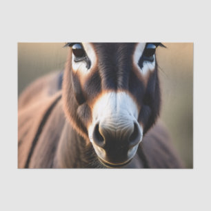 Curious Donkey Close Up Portrait Tissue Paper