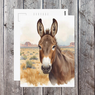 Curious Donkey in Southwestern Desert Scene Postcard