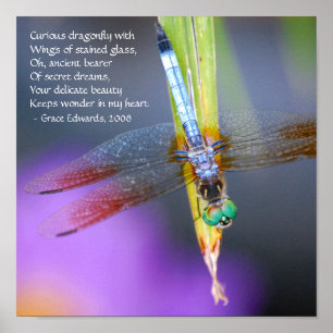Curious Dragonfly Poem - poster / print