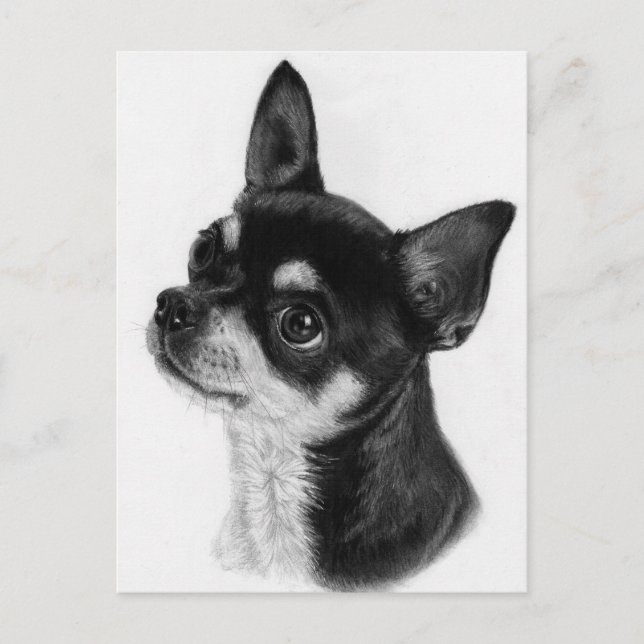 Curious Eyes - Hand Painted Chihuahua Postcard (Front)