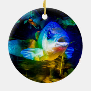 Curious fish ceramic ornament