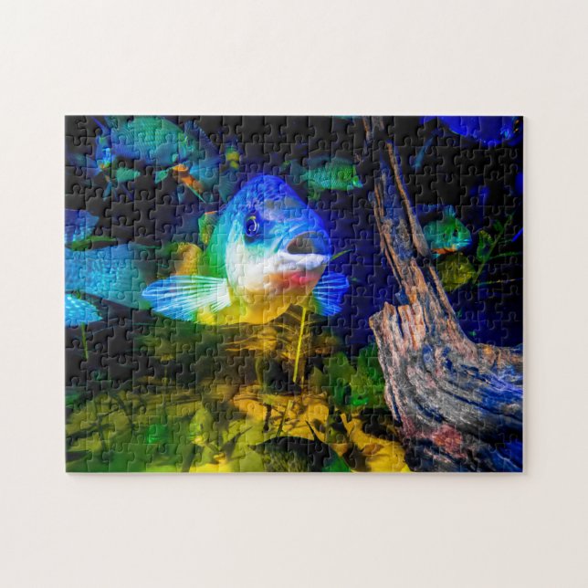 Curious Fish Jig Saw Puzzle (Horizontal)