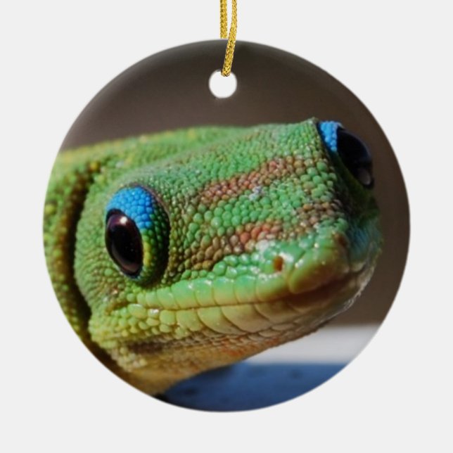 Curious Gecko Ceramic Ornament (Front)