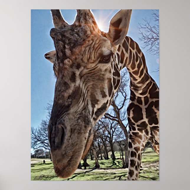 Curious Giraffe Photographic Art Print (Front)
