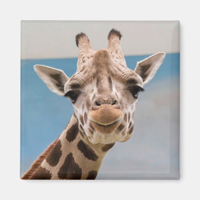 Curious Giraffe Portrait Magnet (Front)
