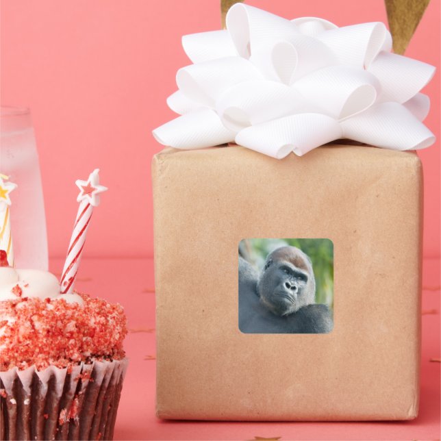 Curious Gorilla Standing Tall Square Sticker (Party)