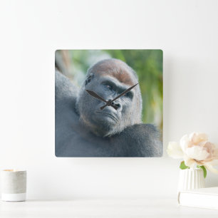 Curious Gorilla Standing Tall Square Wall Clock
