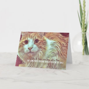 CURIOUS Greeting Card