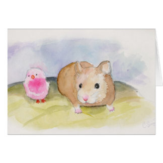 Curious Hamster