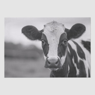 Curious Holstein Cow Black and White Decoupage Tissue Paper