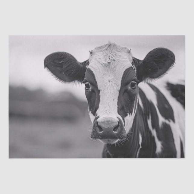 Curious Holstein Cow Black and White Decoupage Tissue Paper (Front)