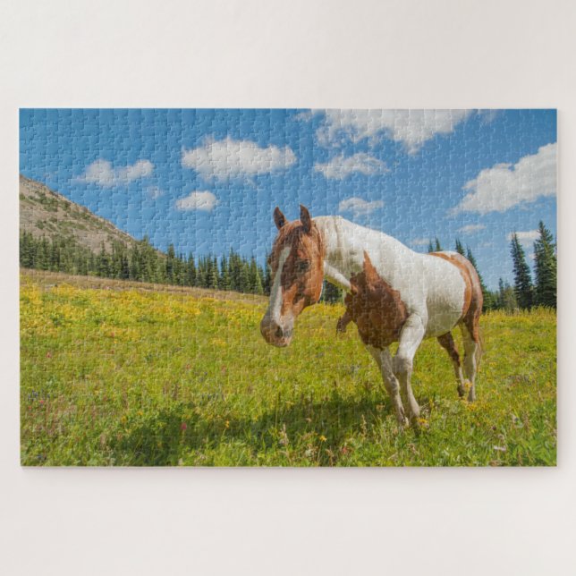 Curious Horse in an Alpine Meadow in Summer Jigsaw Puzzle (Horizontal)