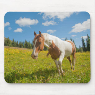 Curious Horse in an Alpine Meadow in Summer Mouse Pad