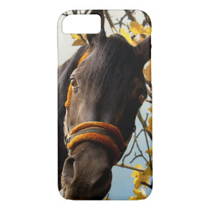 Curious Horse Looking Through The Kitchen Window iPhone 8/7 Case