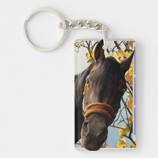Curious Horse Looking Through The Kitchen Window Key Ring (Front)