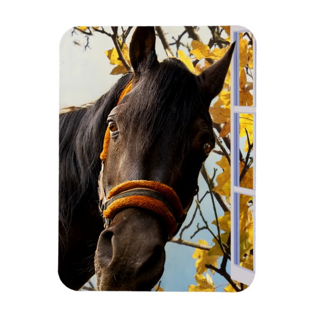 Curious Horse Looking Through The Kitchen Window Magnet (Vertical)