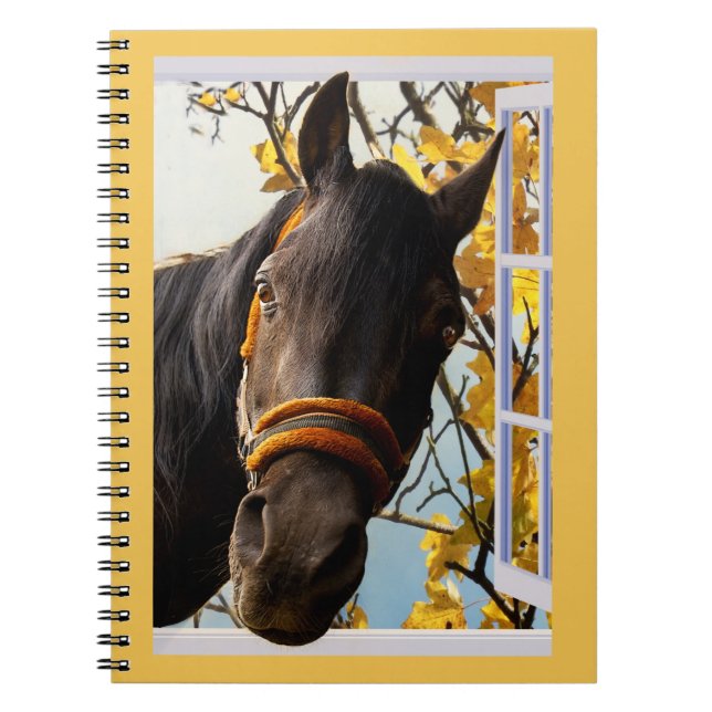 Curious Horse Looking Through The Kitchen Window Notebook (Front)