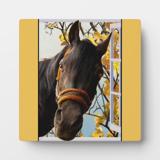 Curious Horse Looking Through The Kitchen Window Plaque (Front)