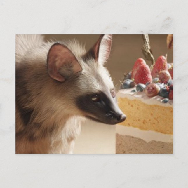 Curious Hyena & Cake Postcard (Front)