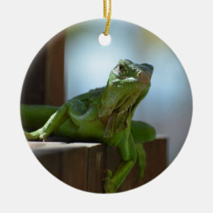 Curious Iguana Ceramic Tree Decoration