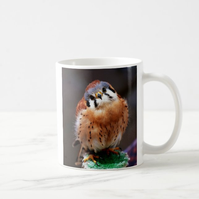 Curious Kestrel Coffee Mug (Right)