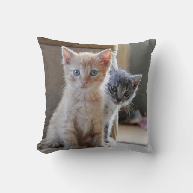 Curious Kittens Cushion (Front)