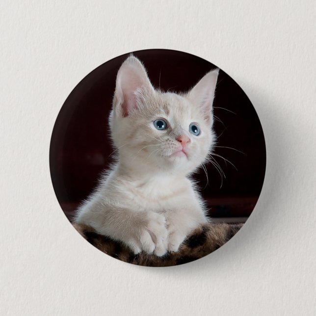 Curious kitty 6 cm round badge (Front)