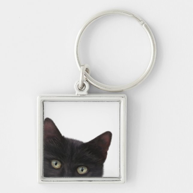 Curious Kitty Digital Painting Key Ring (Front)