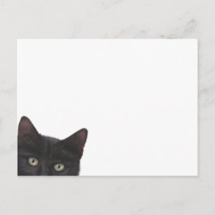 Curious Kitty Digital Painting Postcard