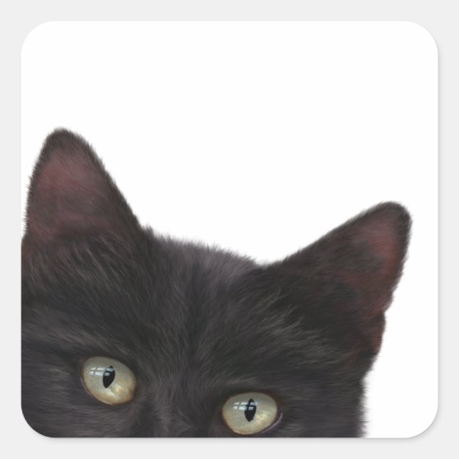 Curious Kitty Digital Painting Square Sticker (Front)