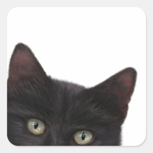 Curious Kitty Digital Painting Square Sticker