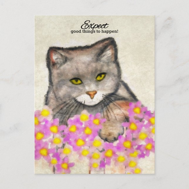 Curious Kitty - "Expect good things to happen!" Postcard (Front)