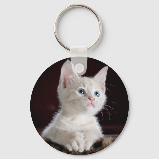 Curious kitty key ring (Front)