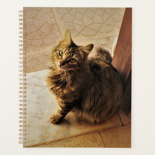 Curious Kitty Notebook Planner (Front)