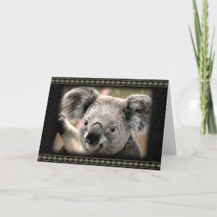 Curious Koala Greeting Card