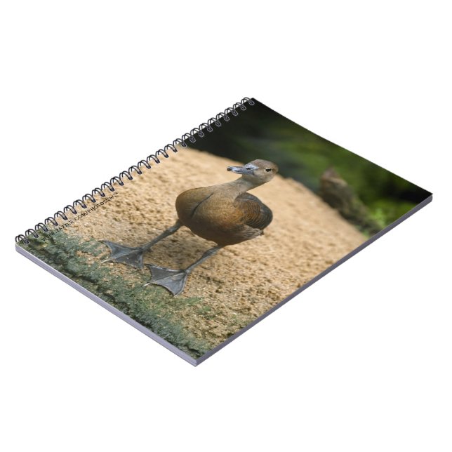 Curious little duck notebook (Left Side)