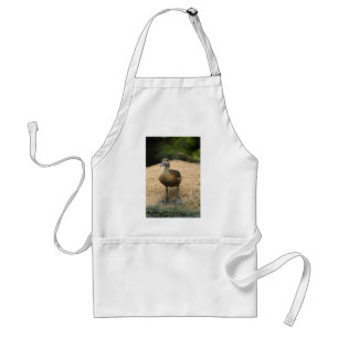 Curious little duck standard apron