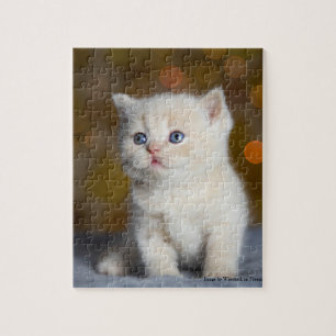 Curious Little Kitty Jigsaw Puzzle