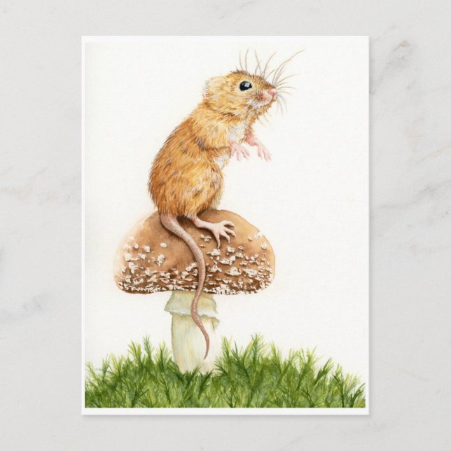 Curious little mouse on mushroom postcard (Front)