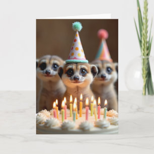 Curious Mammal Birthday Card