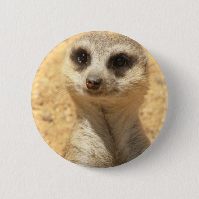 Curious Meerkat Round Pin (Front)