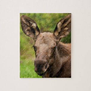Curious Moose Jigsaw Puzzle