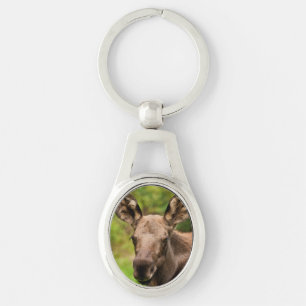 Curious Moose Key Ring
