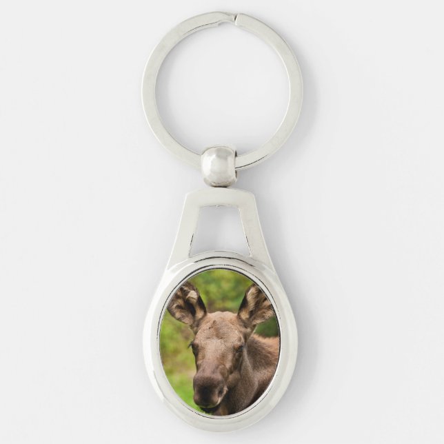 Curious Moose Key Ring (Front)