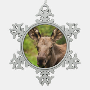 Curious Moose Snowflake Pewter Christmas Ornament