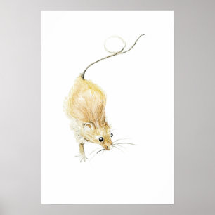 Curious Mouse Print