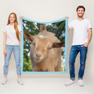 Curious Nigerian Dwarf Dairy Goat Kid Fleece Blanket